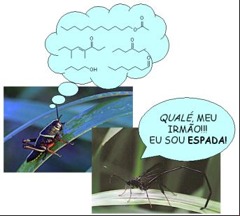 Ops... foi engano!